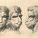 Physiognomic Heads Inspired by a Camel